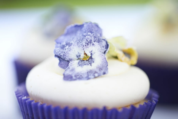 opt_SUNFLOWER CAKES CVB_4193