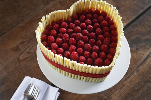 opt_SUNFLOWER CAKES CVB_4525