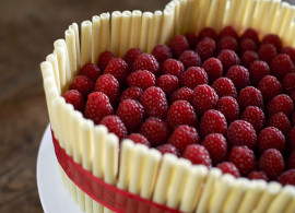 opt_SUNFLOWER CAKES CVB_4538