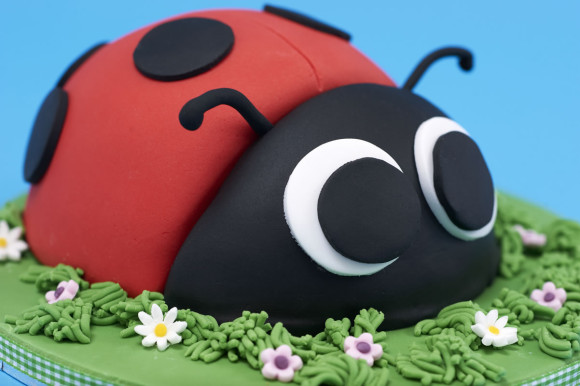 Ladybird Cake